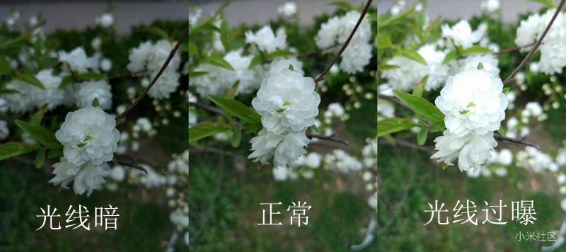 小米长焦微距拍照技巧,小米手机怎么制作专业的微距镜头