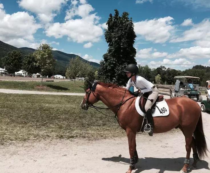 初学者一般都买什么马,如何挑选合适的马