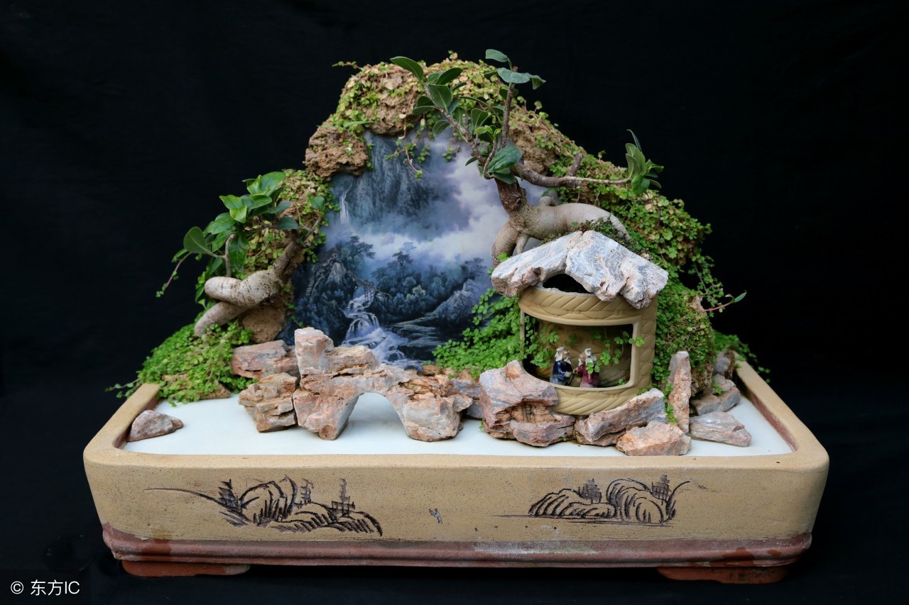 绝美优雅的盆景欣赏（太漂亮了，快分享给朋友吧！）