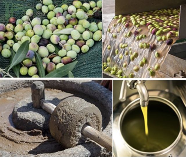 特级初榨橄榄油怎么生吃好吃一点,亚麻籽油和橄榄油怎么生吃比较好