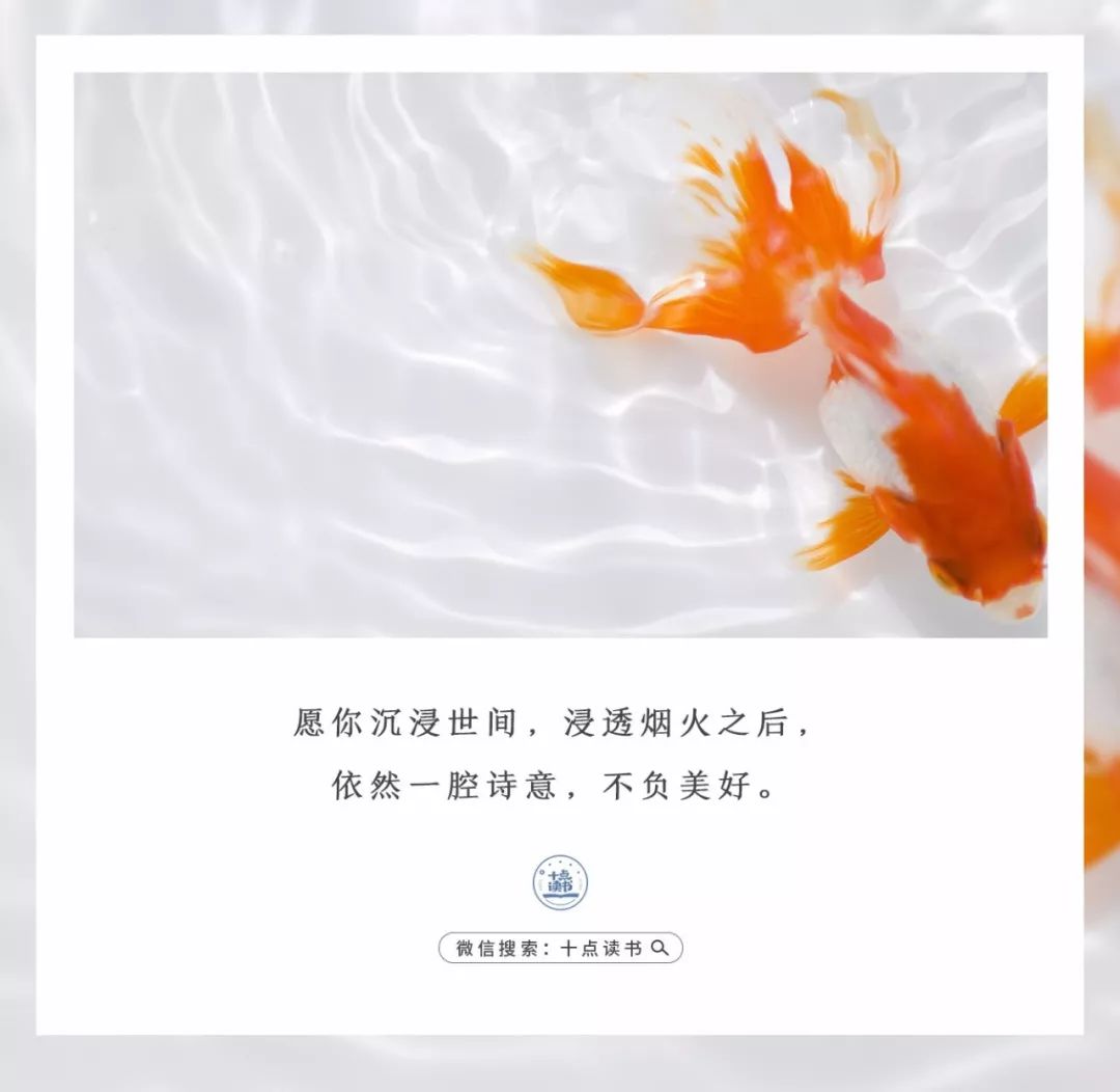 985教授发言,985教授讲教育