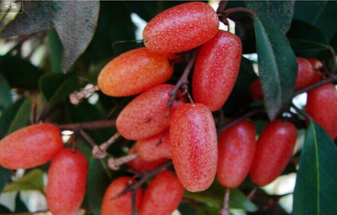 说出小时候最有意思的谎言,小时候不可告人的小秘密