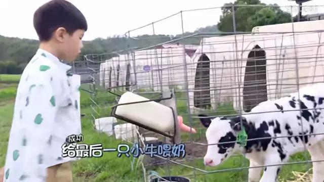 澳大利亚ax奶粉怎么样,澳大利亚奶粉是假的吗