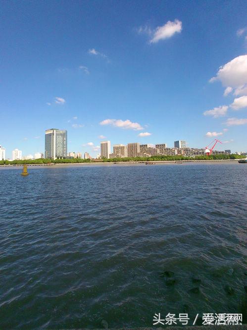 直播还在用手机？我的哒*眼镜视**会拍照