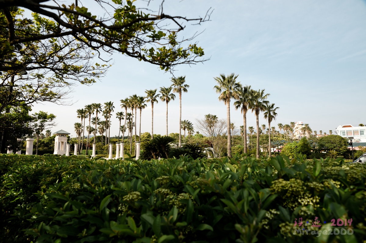济州岛疯狂购物宝典,济州岛市区买买买攻略