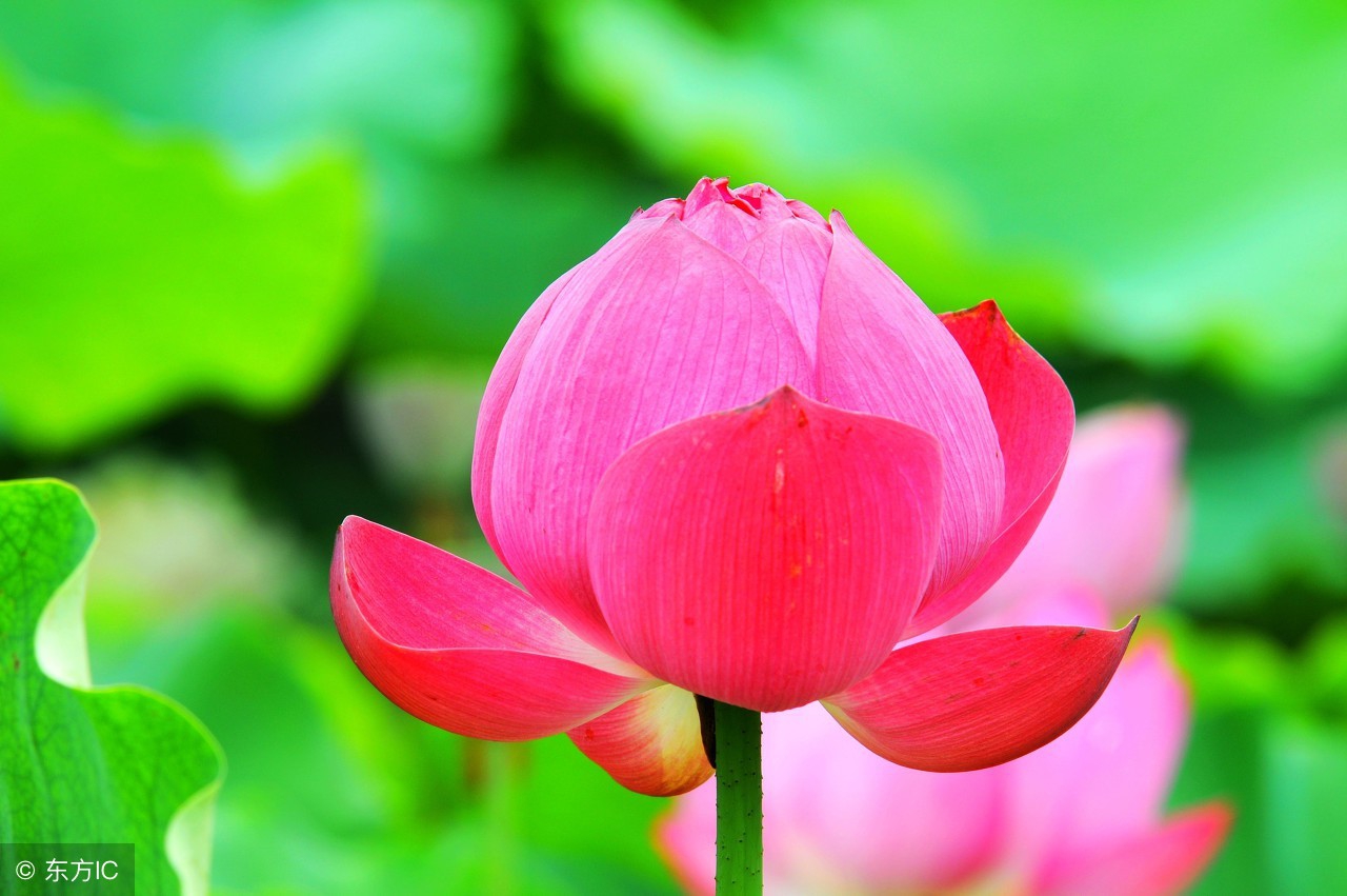 心情很糟糕的随笔,心情很糟糕的短文