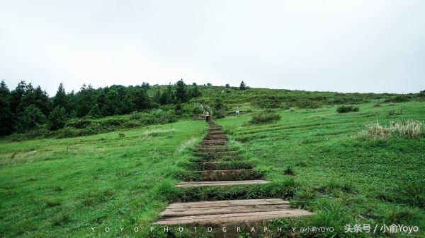 夏天济州岛旅游攻略,夏游济州岛
