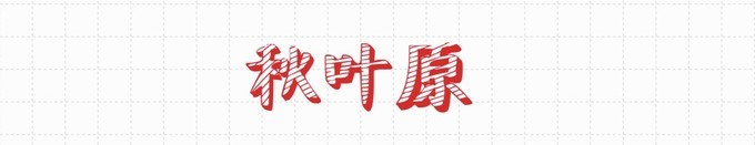 东京、大阪花了一万多买药妆,要不是行李多,我还得深陷下去!