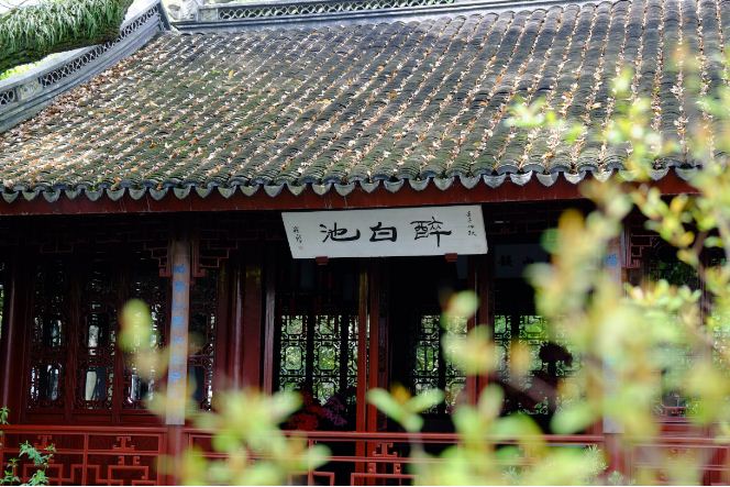 来上海旅游有什么体验感好的项目,去上海玩的体验