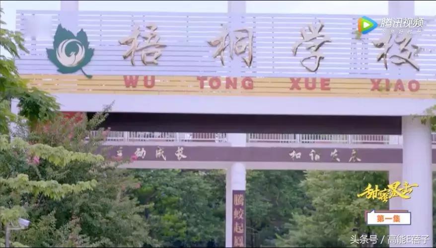 鹿哥鹿嫂最新消息,鹿哥鹿嫂离婚原因