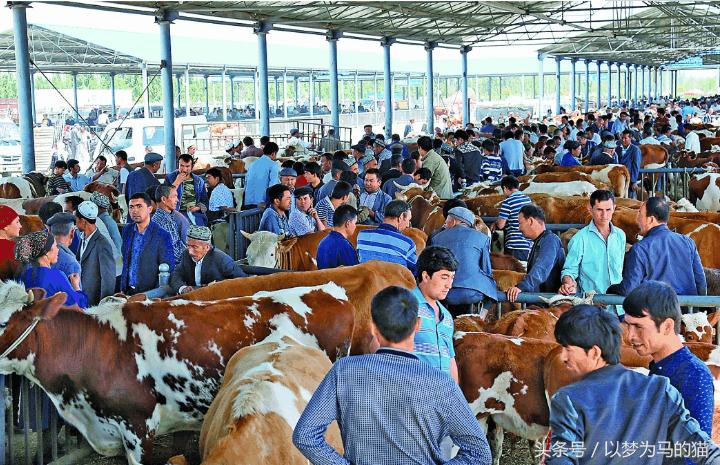 专科就业前景好还容易学的专业,就业前途较好的专科专业