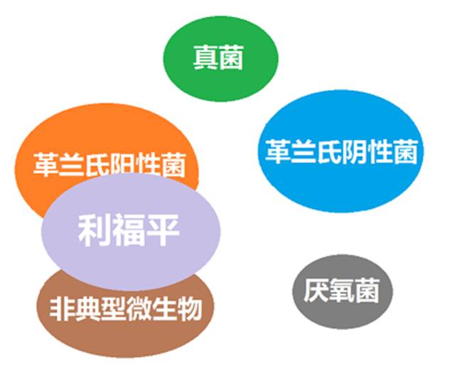 看图“话”抗菌谱，赶紧收藏！