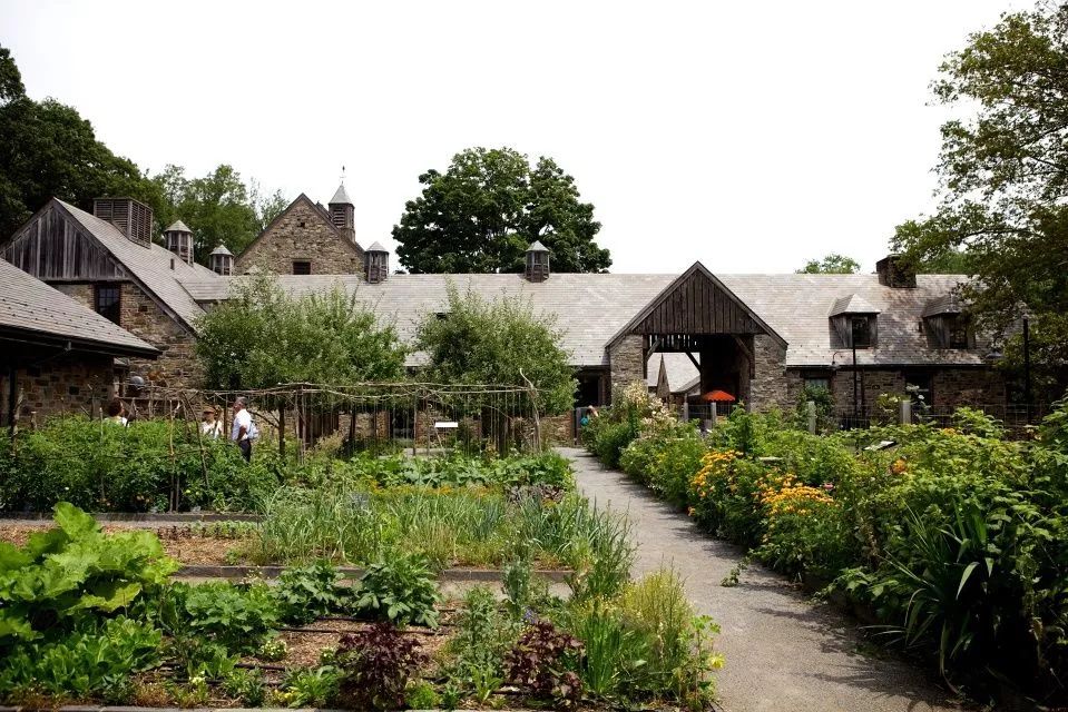 这家奇葩餐厅“坑”了中国食客,却征服了米其林食探,连奥巴马夫妇都是它的粉丝!