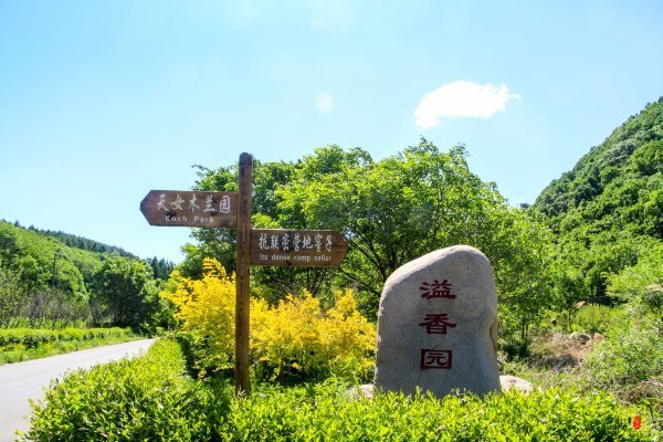 抚顺攻略,抚顺深度游攻略游记