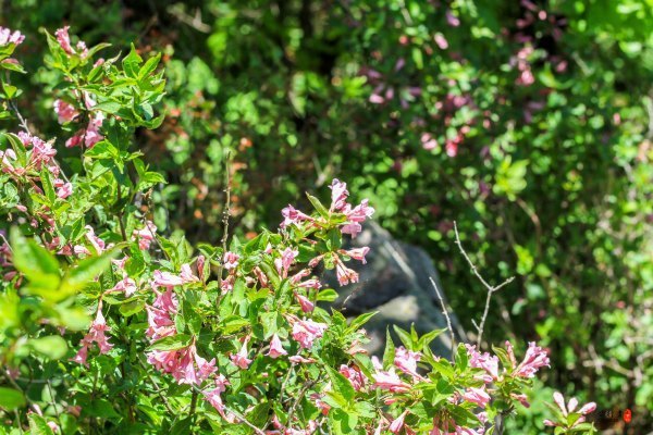 抚顺深度游攻略游记,抚顺旅游攻略自由行