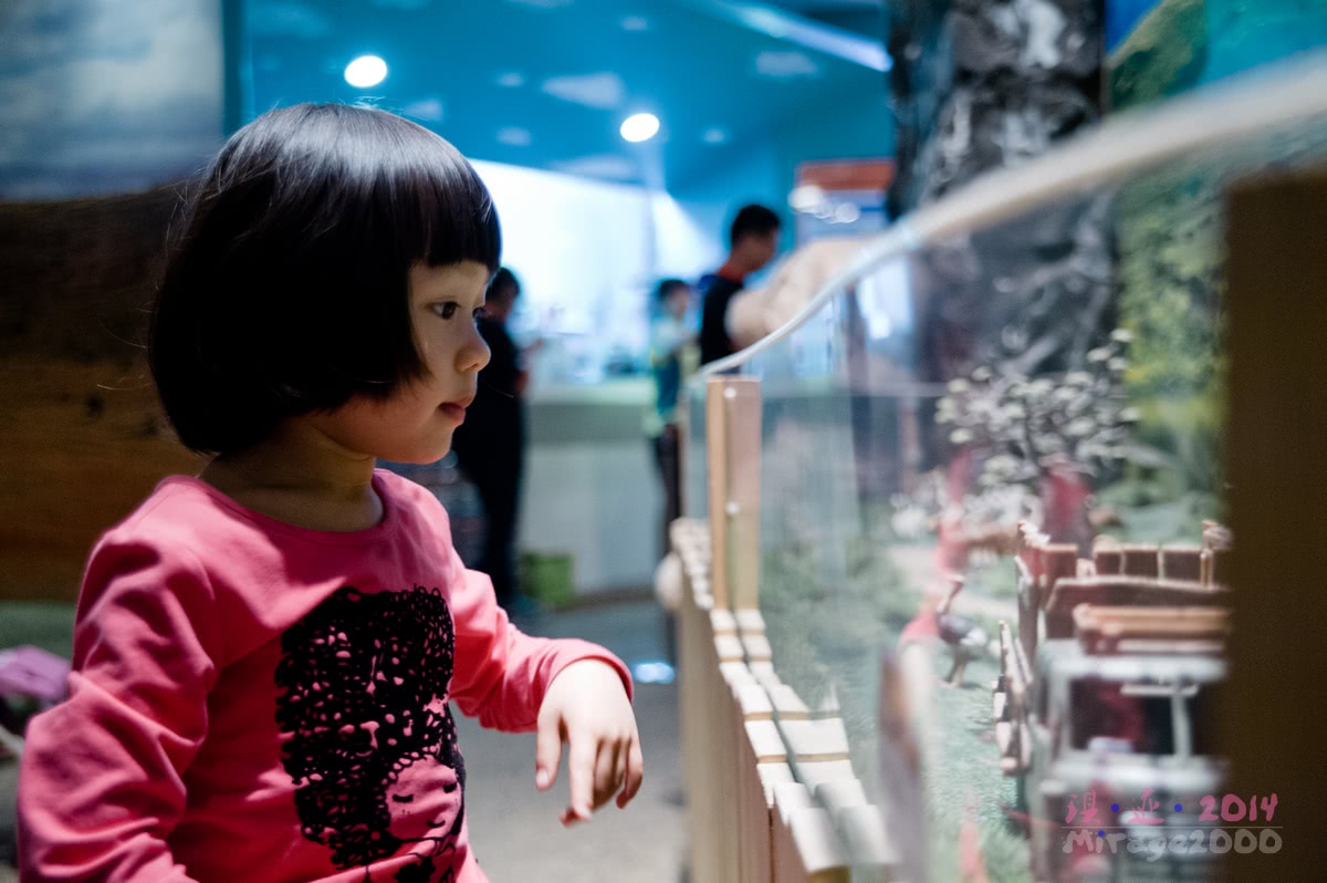 泰迪熊博物馆济州岛拍照攻略,济州岛假泰迪熊博物馆