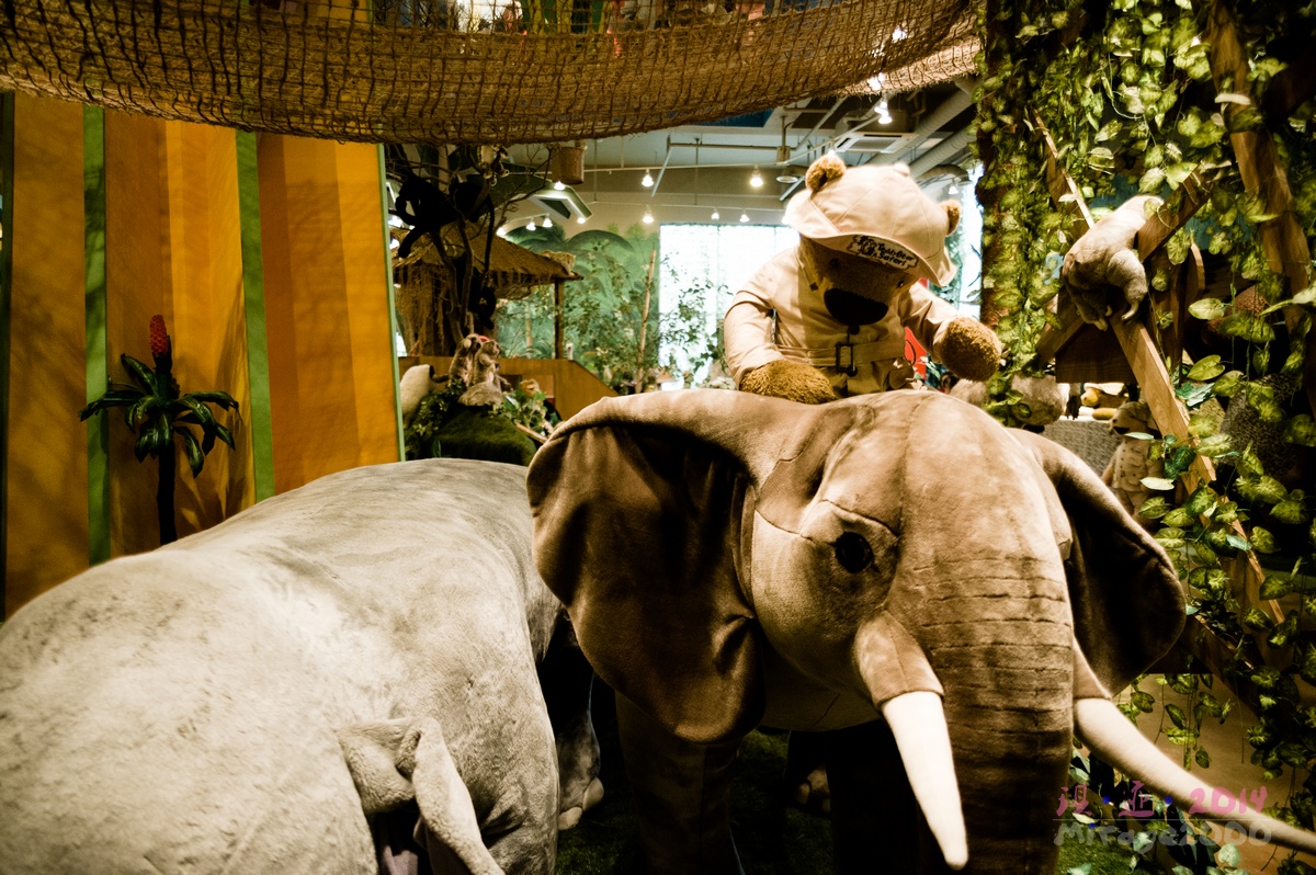 泰迪熊博物馆济州岛拍照攻略,济州岛假泰迪熊博物馆