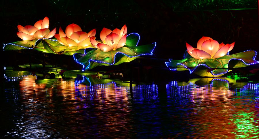 云南的火把节真热闹,云南最热闹的火把节