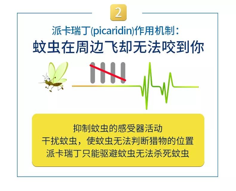 澳洲药房销量冠军，英国女王认证，无蚊一夏就靠它！