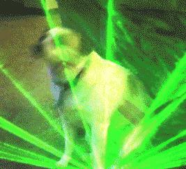 比nars还贵的粉饼,比nars还便宜的化妆品牌