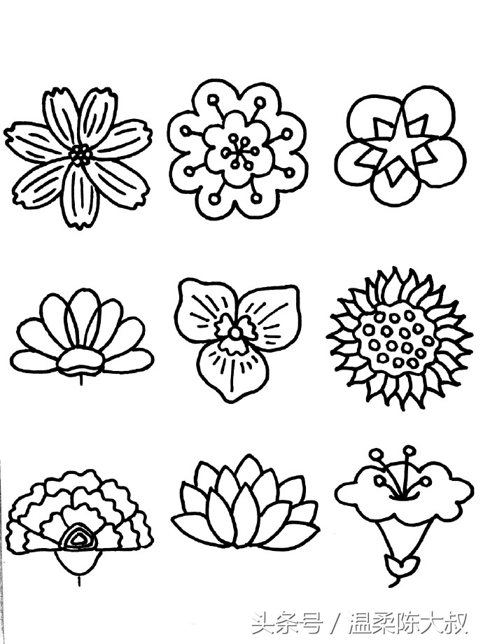 简单手账简笔画边框,简单又好看的手帐简笔画教程