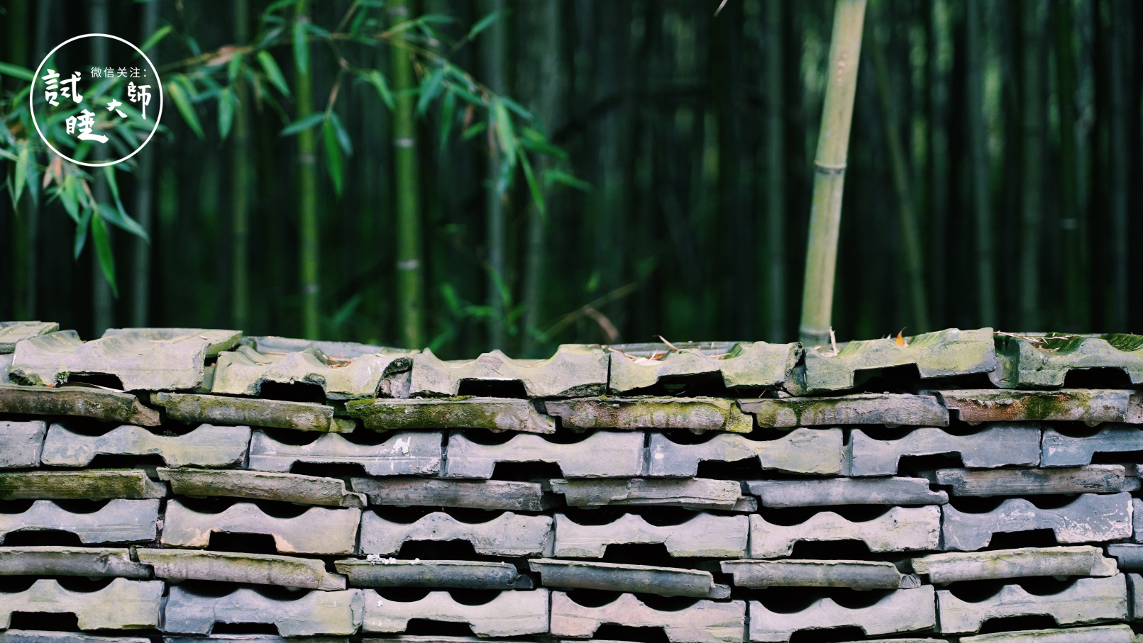 青春旅社王源选秋老师,青春旅社王源莫干山