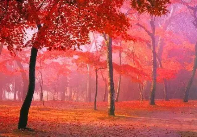 中国红大气豪迈热情洒脱,中国红霸气文案