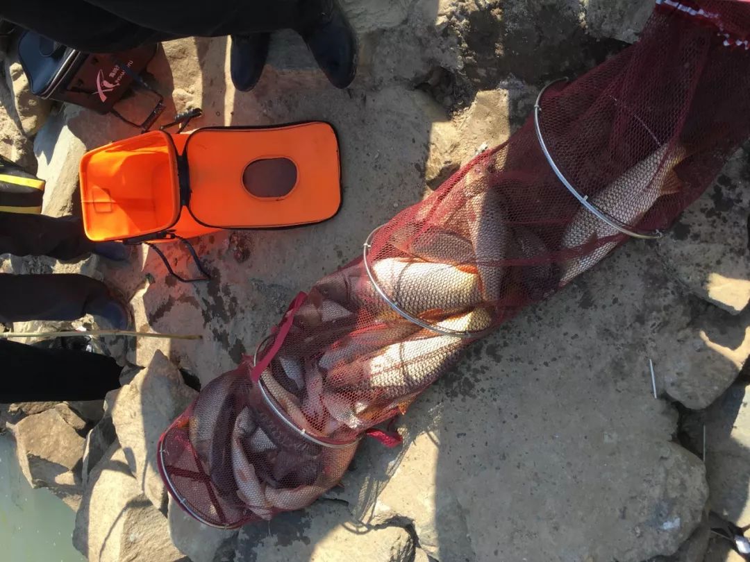 闷热的天钓鱼钓底还是钓浮,闷热天气应该钓深还是钓浅