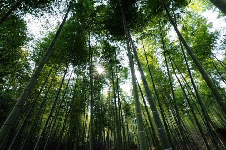 广州南沙自驾游一日游推荐,广州南沙亲子游自由行攻略