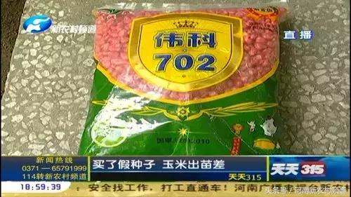 天天315商品,天天315玉米种介绍