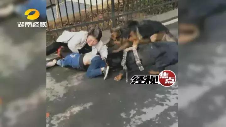 被狗咬住不松口三招教你快速摆脱,被狗咬住如何脱身