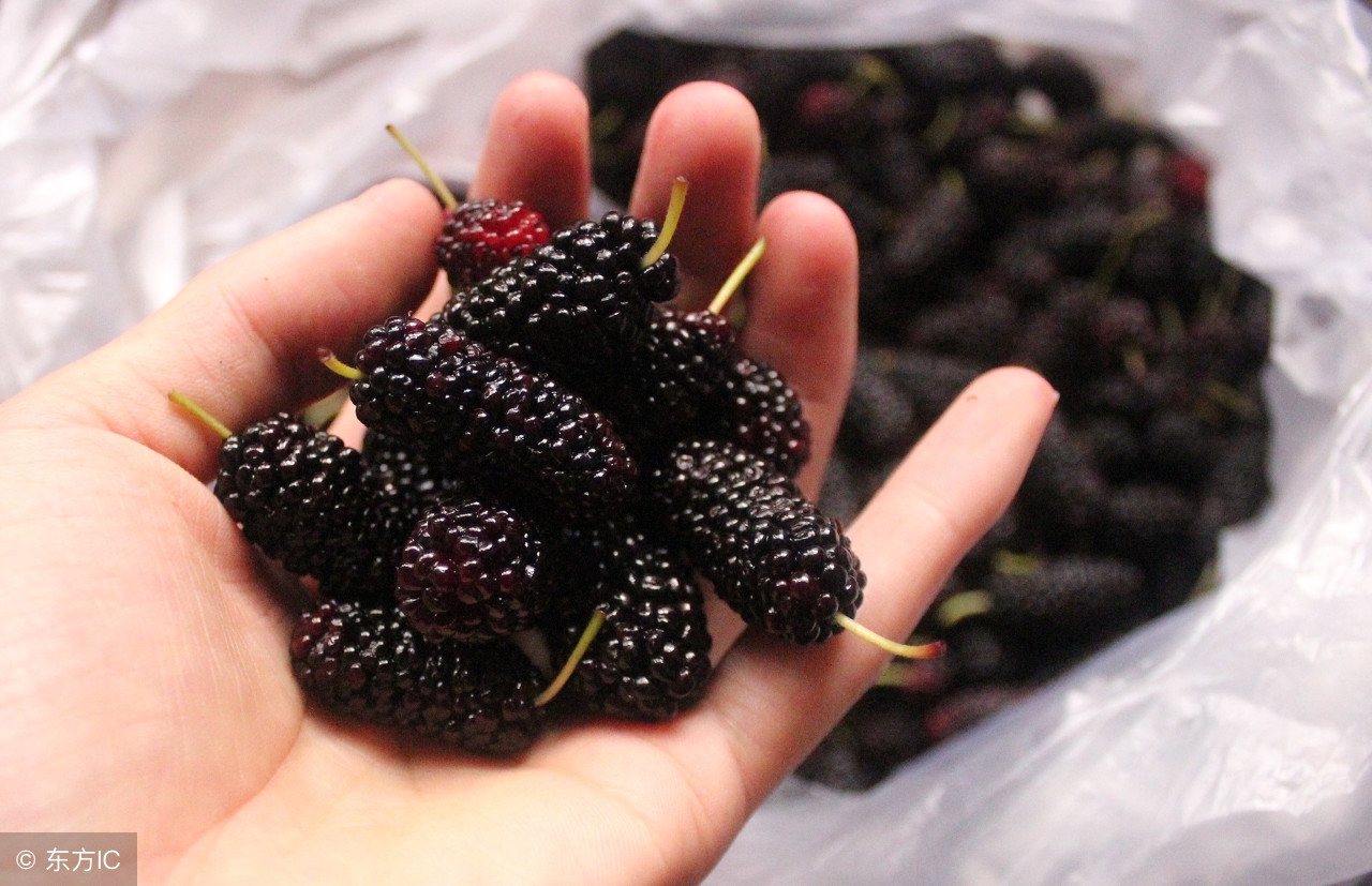 眼圈乌黑是肾虚的表现吗,长时间黑眼圈太重怎么调理