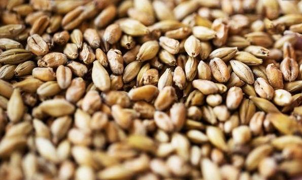 肝炎不治就会变肝癌吗,肝炎不治好会成癌吗