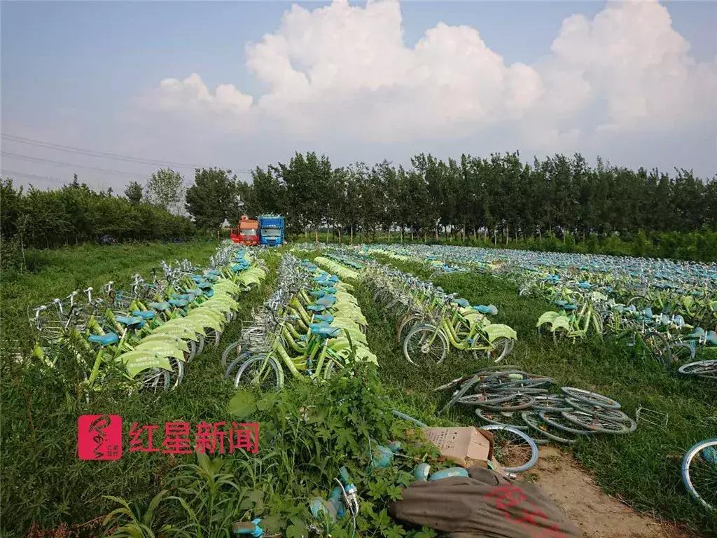 共享单车狂风刮过,“自行车第一镇”这个夏天有点凉