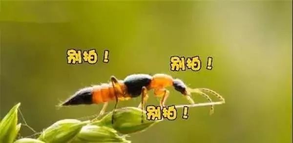 夏季暗藏的这些危险一定要小心,夏季四大禁忌你还在犯吗