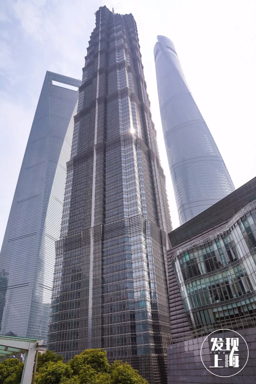 该不该去上海读大学,千万不要来香港读研