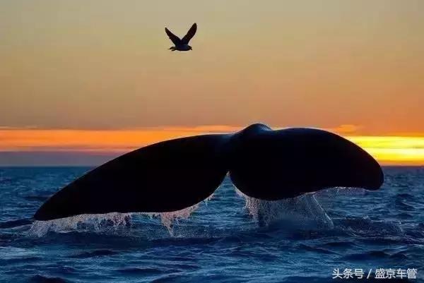 不用签证可以去的岛屿,不用出国就能玩的海岛