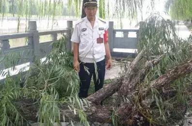 全身瘫软……鹤壁娃吞防撞角差点没命；农民工可网上免费读郑大本科