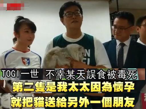 为救选票绿营官员“人仗猫势”遭轰：为私欲不在乎伤害*进党民**