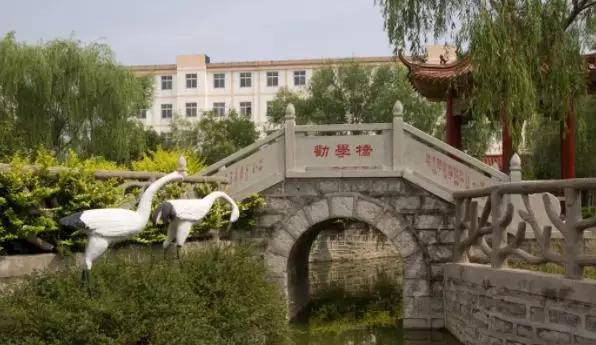 东营实验小学是东营英华小学吗,东营最好的实验小学