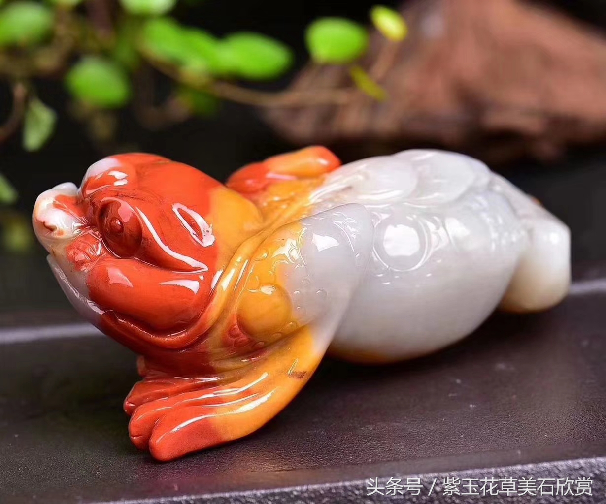 它被称为瑞兽，为什么做生意的人都喜欢它？看完就知道了