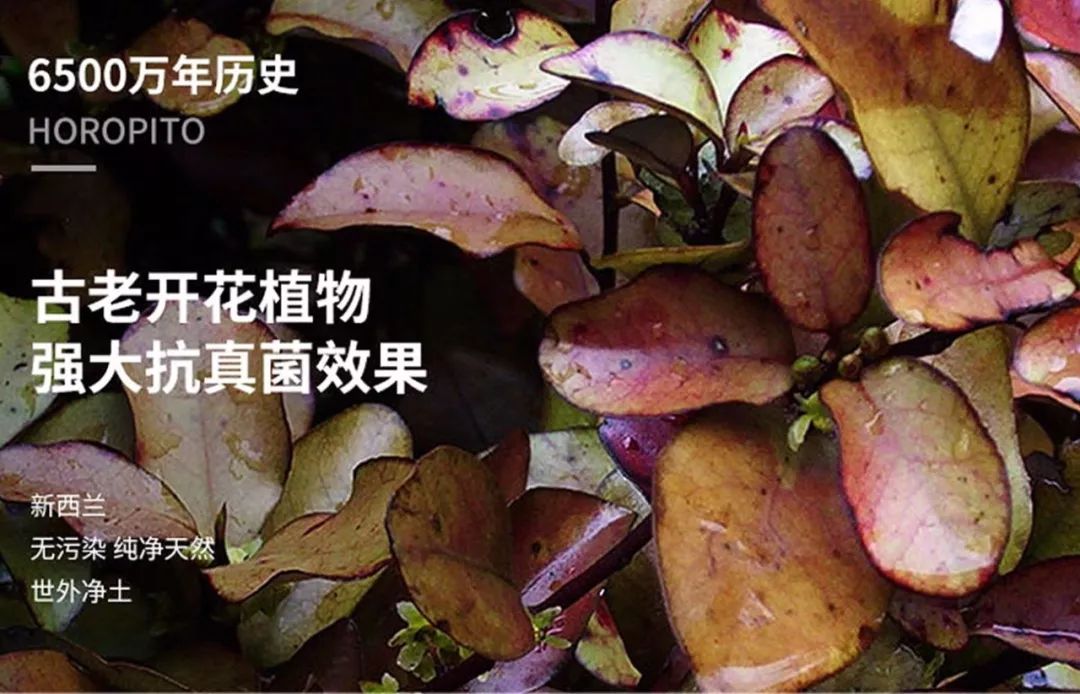 脚气清脚气专用乳膏,比较管用的脚气膏