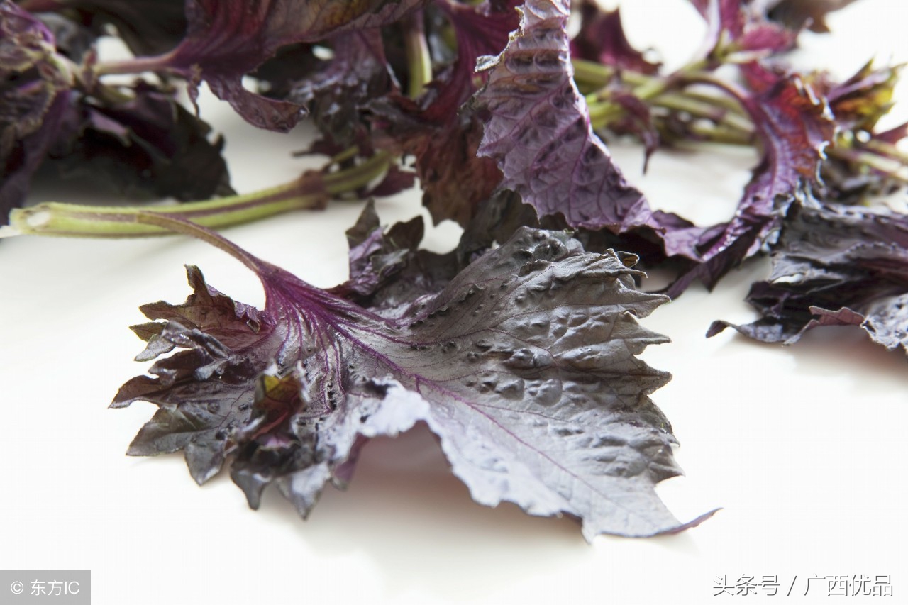 9种中药香辛料的正确用法,中药香辛料作用