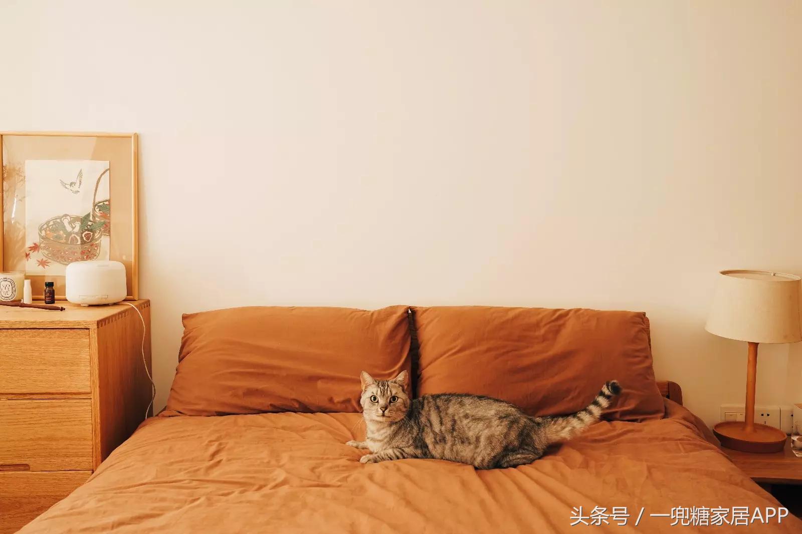 断舍离老公，遇上囤物癖老婆，装出这么正宗的日式小家要掐架吧！