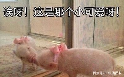 我的世界刚进mc的时候,我的世界玩家玩mc看见终末之诗