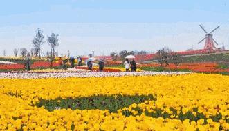 有多少人分不清楚孝感与孝感北,孝感人过早对孝感文化的感悟