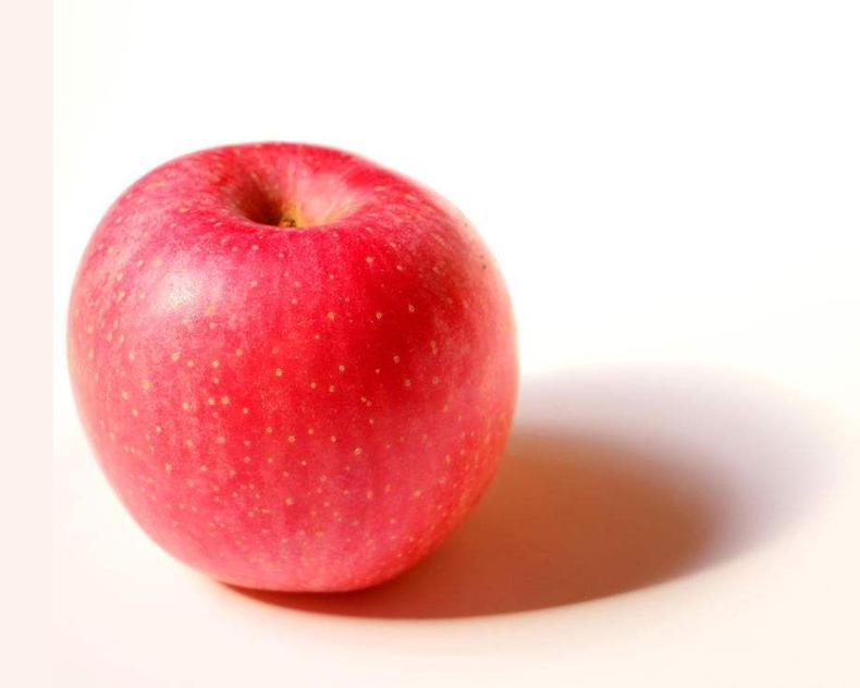 仓鼠拉稀了怎么办要停止吃什么,仓鼠拉稀和湿尾怎么治疗