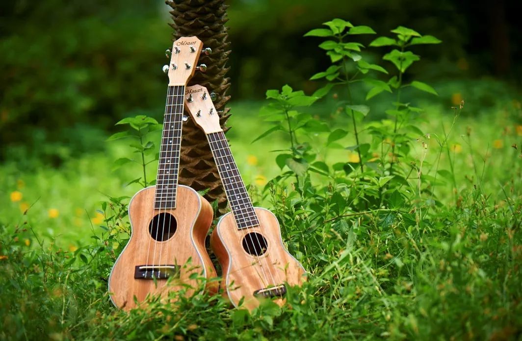 ukulele初学教程,ukulele快速入门