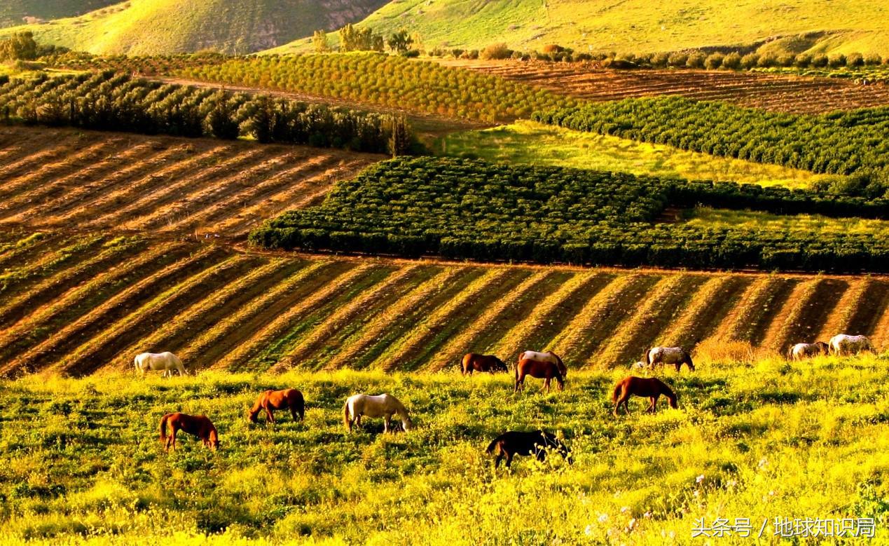 以色列和叙利亚怎么打起来的,以色列为何与叙利亚为敌