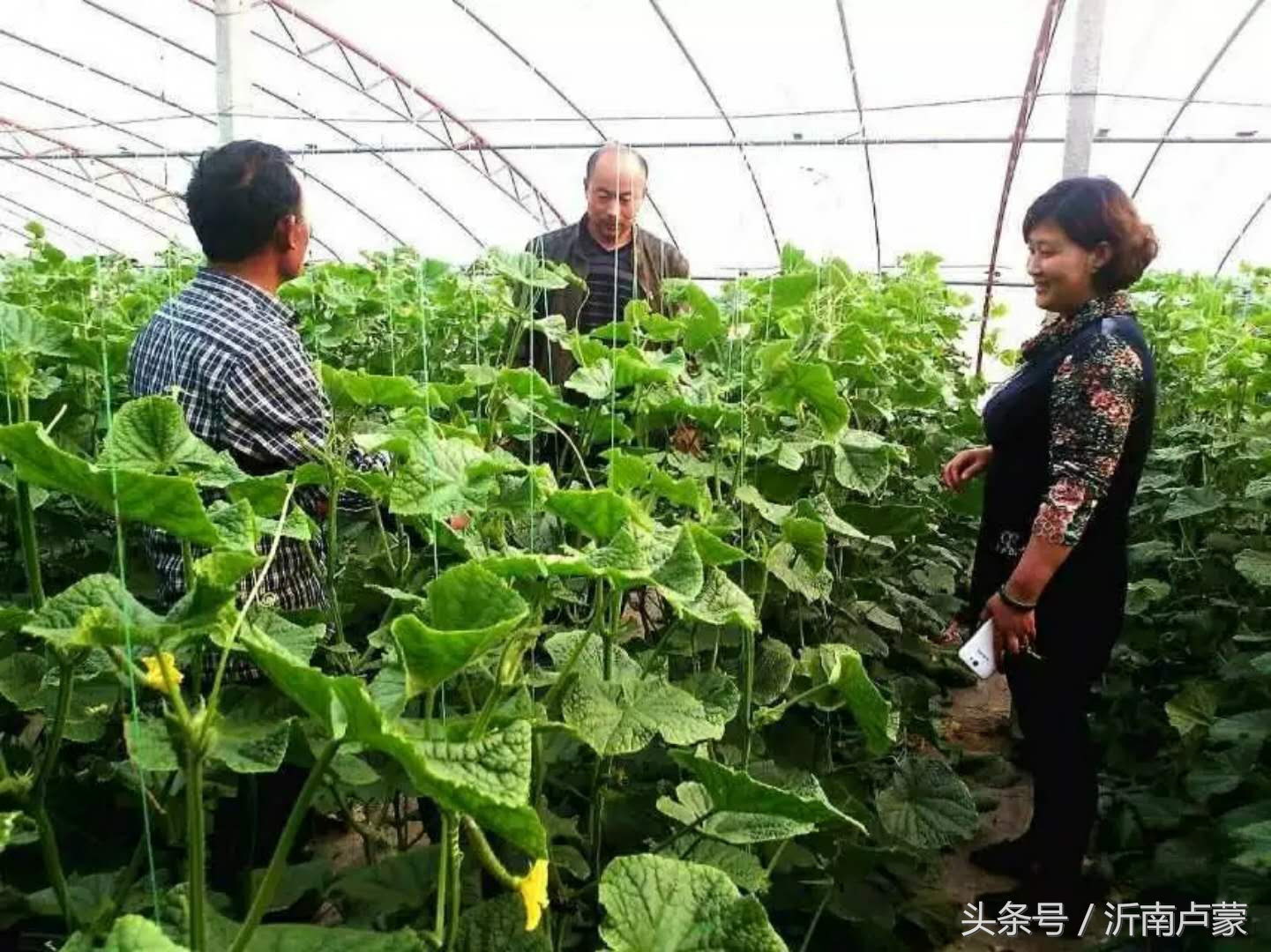 陈锋名师工作室,陈锋老师视频